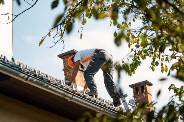 Fast & Reliable Emergency Roof Repairs in Fort Belvoir, VA